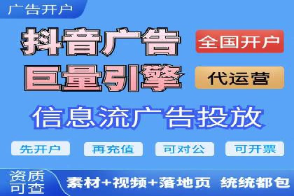 竞价托管服务案例解析